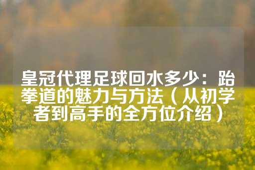 皇冠代理足球回水多少：跆拳道的魅力与方法（从初学者到高手的全方位介绍）