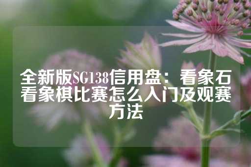 全新版SG138信用盘：看象石看象棋比赛怎么入门及观赛方法