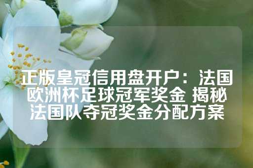 正版皇冠信用盘开户：法国欧洲杯足球冠军奖金 揭秘法国队夺冠奖金分配方案