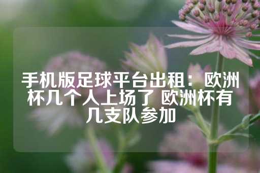 手机版足球平台出租：欧洲杯几个人上场了 欧洲杯有几支队参加