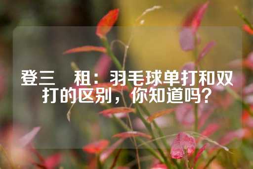 登三岀租：羽毛球单打和双打的区别，你知道吗？