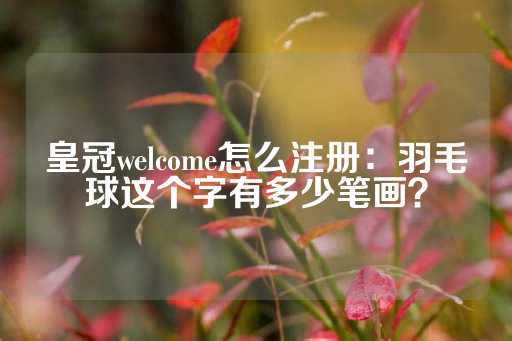 皇冠welcome怎么注册：羽毛球这个字有多少笔画？-第1张图片-皇冠信用盘出租