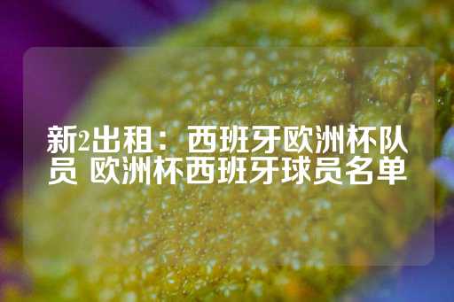 新2出租：西班牙欧洲杯队员 欧洲杯西班牙球员名单-第1张图片-皇冠信用盘出租