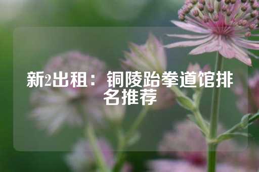 新2出租：铜陵跆拳道馆排名推荐