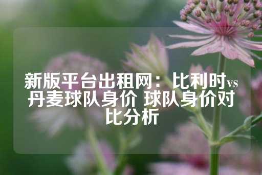 新版平台出租网：比利时vs丹麦球队身价 球队身价对比分析-第1张图片-皇冠信用盘出租