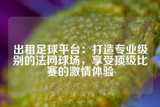 出租足球平台：打造专业级别的法网球场，享受顶级比赛的激情体验