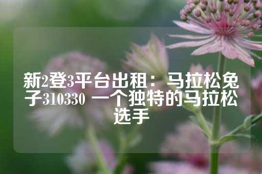 新2登3平台出租：马拉松兔子310330 一个独特的马拉松选手