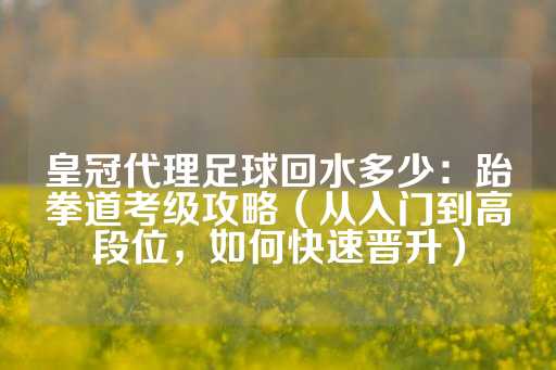 皇冠代理足球回水多少：跆拳道考级攻略（从入门到高段位，如何快速晋升）-第1张图片-皇冠信用盘出租