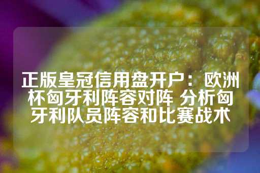 正版皇冠信用盘开户：欧洲杯匈牙利阵容对阵 分析匈牙利队员阵容和比赛战术-第1张图片-皇冠信用盘出租