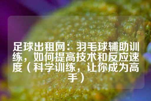 足球出租网：羽毛球辅助训练，如何提高技术和反应速度（科学训练，让你成为高手）