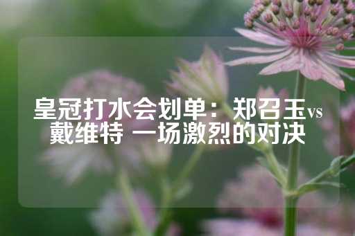 皇冠打水会划单：郑召玉vs戴维特 一场激烈的对决-第1张图片-皇冠信用盘出租