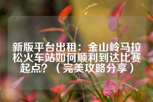 新版平台出租：金山岭马拉松火车站如何顺利到达比赛起点？（完美攻略分享）-第1张图片-皇冠信用盘出租