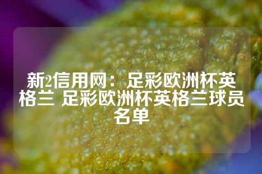 新2信用网：足彩欧洲杯英格兰 足彩欧洲杯英格兰球员名单-第1张图片-皇冠信用盘出租