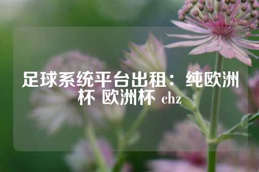 足球系统平台出租：纯欧洲杯 欧洲杯 chz