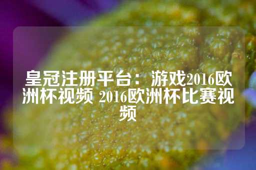 皇冠注册平台：游戏2016欧洲杯视频 2016欧洲杯比赛视频-第1张图片-皇冠信用盘出租