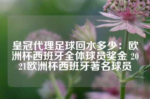 皇冠代理足球回水多少：欧洲杯西班牙全体球员奖金 2021欧洲杯西班牙著名球员-第1张图片-皇冠信用盘出租