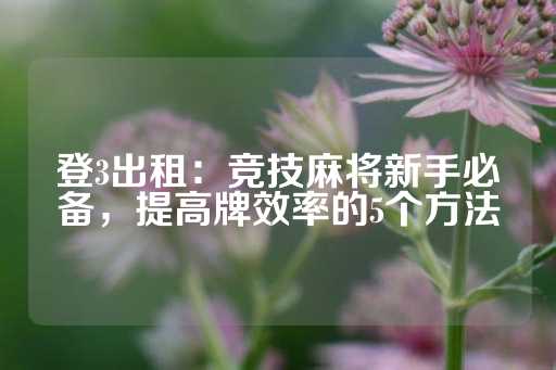 登3出租：竞技麻将新手必备，提高牌效率的5个方法