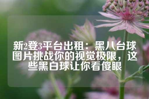 新2登3平台出租：黑八台球图片挑战你的视觉极限，这些黑白球让你看傻眼-第1张图片-皇冠信用盘出租