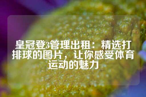 皇冠登3管理出租：精选打排球的图片，让你感受体育运动的魅力