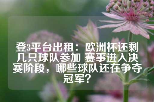 登3平台出租：欧洲杯还剩几只球队参加 赛事进入决赛阶段，哪些球队还在争夺冠军？