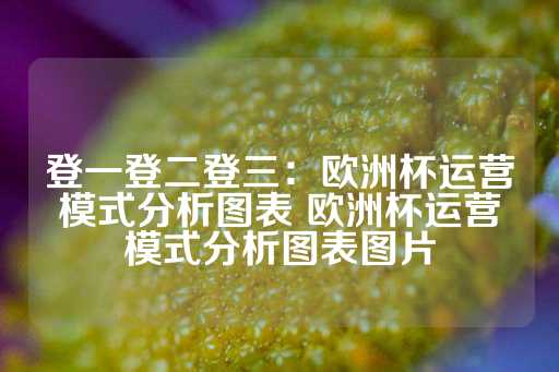 登一登二登三：欧洲杯运营模式分析图表 欧洲杯运营模式分析图表图片