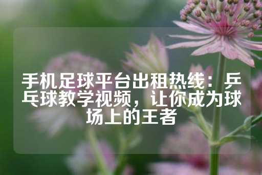 手机足球平台出租热线：乒乓球教学视频，让你成为球场上的王者-第1张图片-皇冠信用盘出租