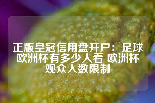 正版皇冠信用盘开户：足球欧洲杯有多少人看 欧洲杯观众人数限制