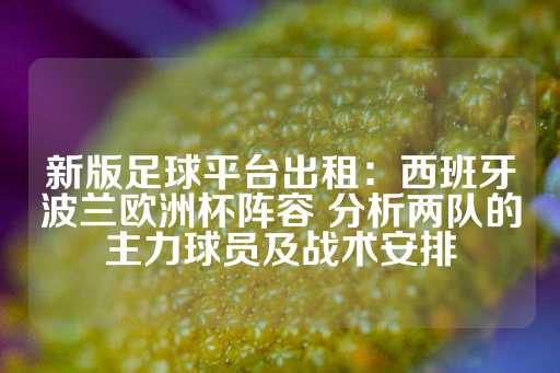 新版足球平台出租：西班牙波兰欧洲杯阵容 分析两队的主力球员及战术安排