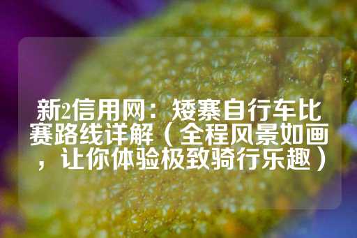 新2信用网：矮寨自行车比赛路线详解（全程风景如画，让你体验极致骑行乐趣）