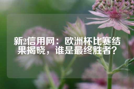 新2信用网：欧洲杯比赛结果揭晓，谁是最终胜者？