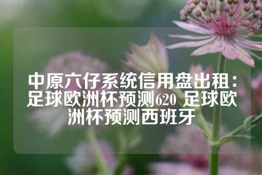 中原六仔系统信用盘出租：足球欧洲杯预测620 足球欧洲杯预测西班牙