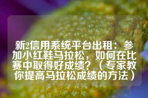 新2信用系统平台出租：参加小红鞋马拉松，如何在比赛中取得好成绩？（专家教你提高马拉松成绩的方法）