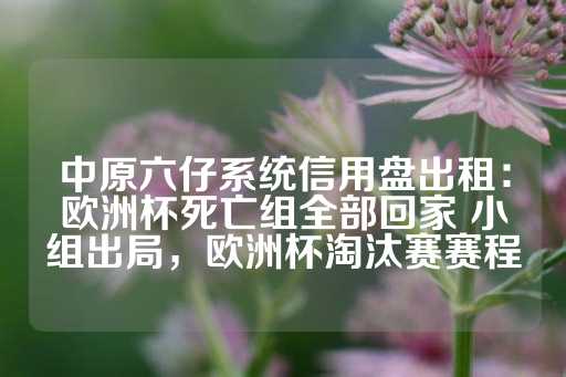 中原六仔系统信用盘出租：欧洲杯死亡组全部回家 小组出局，欧洲杯淘汰赛赛程