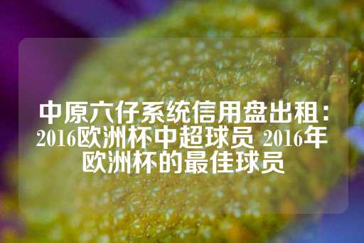 中原六仔系统信用盘出租：2016欧洲杯中超球员 2016年欧洲杯的最佳球员-第1张图片-皇冠信用盘出租