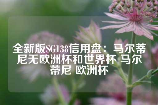 全新版SG138信用盘：马尔蒂尼无欧洲杯和世界杯 马尔蒂尼 欧洲杯