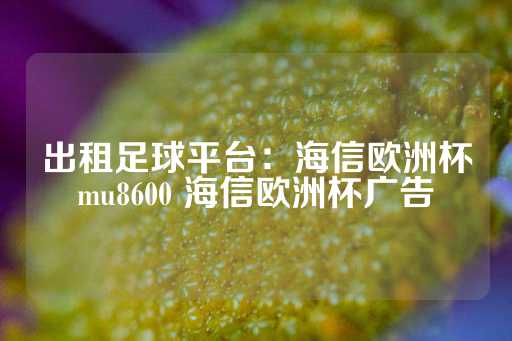 出租足球平台：海信欧洲杯mu8600 海信欧洲杯广告-第1张图片-皇冠信用盘出租