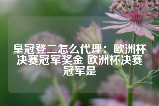 皇冠登二怎么代理：欧洲杯决赛冠军奖金 欧洲杯决赛冠军是