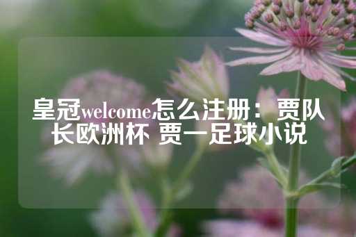 皇冠welcome怎么注册：贾队长欧洲杯 贾一足球小说-第1张图片-皇冠信用盘出租