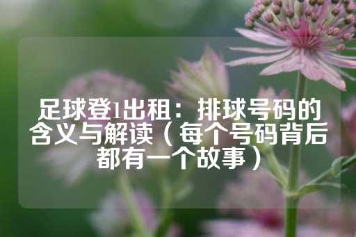 足球登1出租：排球号码的含义与解读（每个号码背后都有一个故事）