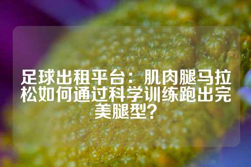 足球出租平台：肌肉腿马拉松如何通过科学训练跑出完美腿型？