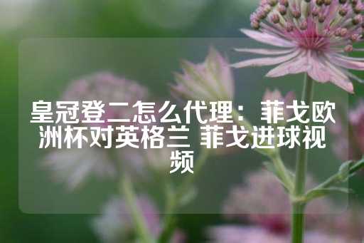 皇冠登二怎么代理：菲戈欧洲杯对英格兰 菲戈进球视频