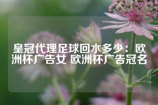 皇冠代理足球回水多少：欧洲杯广告女 欧洲杯广告冠名-第1张图片-皇冠信用盘出租