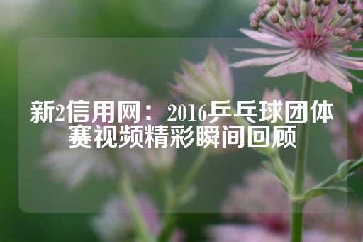 新2信用网：2016乒乓球团体赛视频精彩瞬间回顾