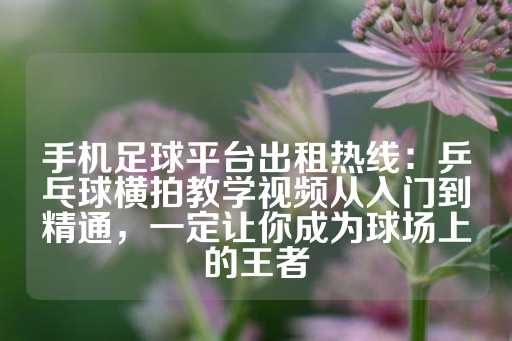 手机足球平台出租热线：乒乓球横拍教学视频从入门到精通，一定让你成为球场上的王者