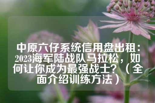 中原六仔系统信用盘出租：2023海军陆战队马拉松，如何让你成为最强战士？（全面介绍训练方法）