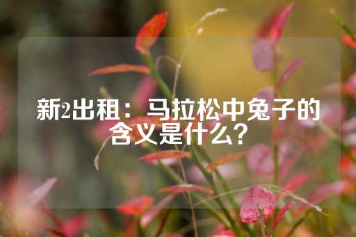 新2出租：马拉松中兔子的含义是什么？