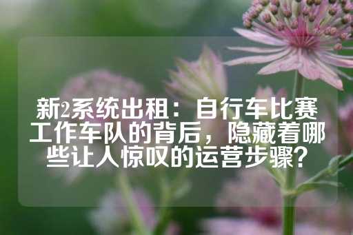 新2系统出租：自行车比赛工作车队的背后，隐藏着哪些让人惊叹的运营步骤？-第1张图片-皇冠信用盘出租