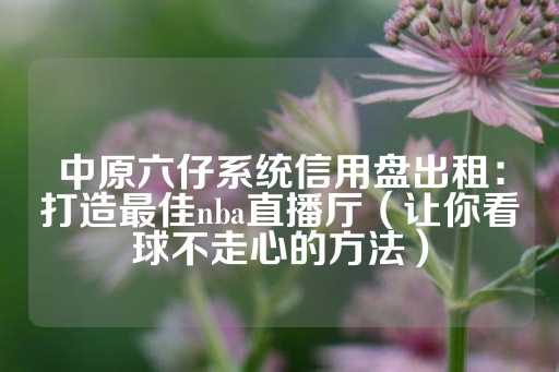 中原六仔系统信用盘出租：打造最佳nba直播厅（让你看球不走心的方法）