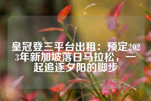 皇冠登三平台出租：预定2023年新加坡落日马拉松，一起追逐夕阳的脚步